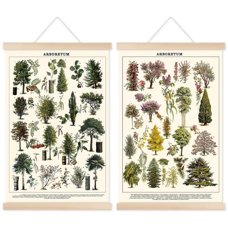 Chenkaiyang Vintage Tree Poster 2 Pcs Green Tree Wall Art Prints Rustic Retro Tree Chart Living Room Decor - Image 2