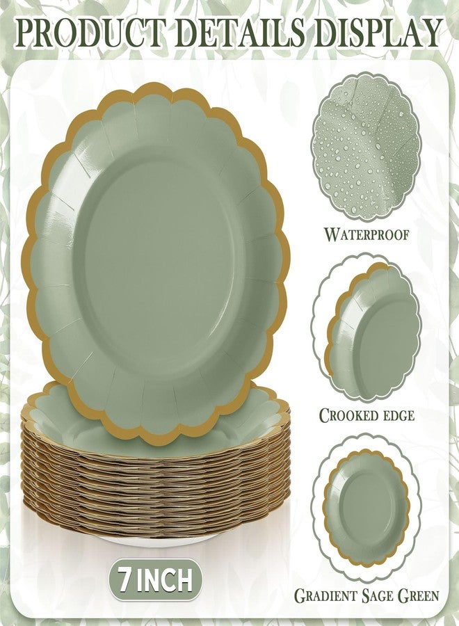 Tiangrid 48 Pcs Gradient Sage Green Paper Plates 7 Inch Scalloped Disposable Dessert Plate for Coquette Bridal Pink Bow Wedding Birthday Baby Shower Party Supplies - Image 3