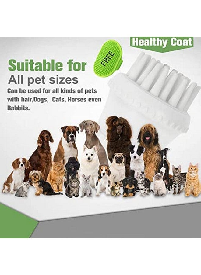 Pet Bath & Massage Brush Shampoo Dispenser For Daily Grooming For Short And Long Hair With Free Grooming Hand Brush - Image 2