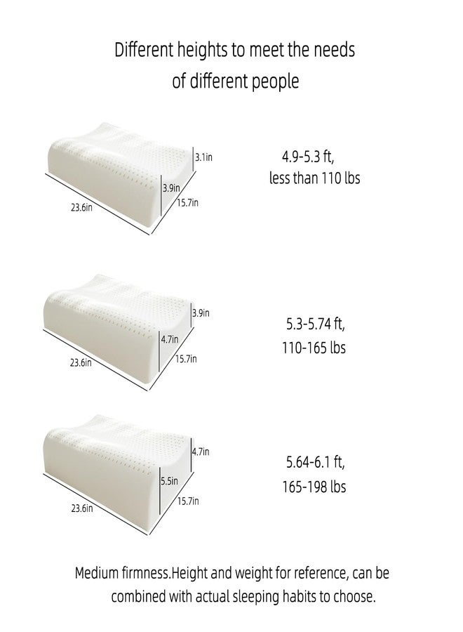 TIERSINI Slim Natural Latex Pillow for Stomach, Back Sleepers,Low Profile & Thin Ergonomic Contour Pillows Helps Cervical Neck Correction and Deeper Sleep (23.6" Lx15.7 Wx(3.1/3.9") H) - Image 3