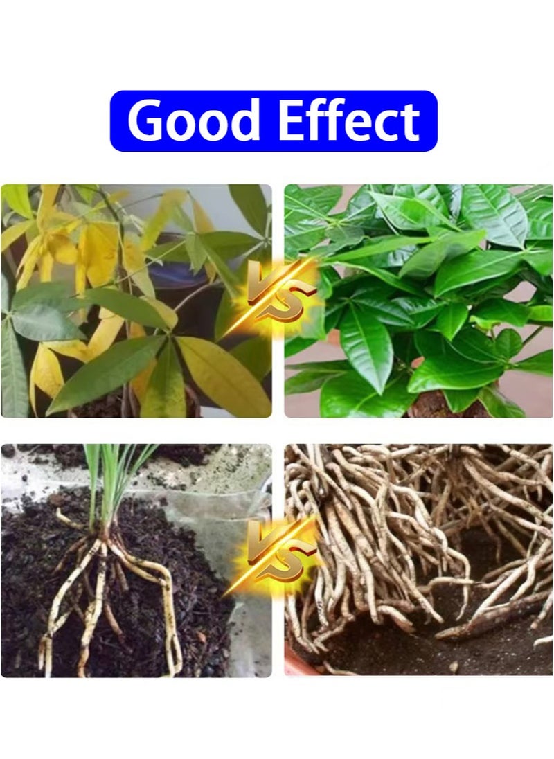 Aikanbo 6 Pieces Of Plant Regenerator，Alleviate Plant Wilting，Promote Germination And Rooting，Suitable For Soil，Garden，Fruit，Grass，Bonsai，Lawn Cuttings （18g）  - Image 2