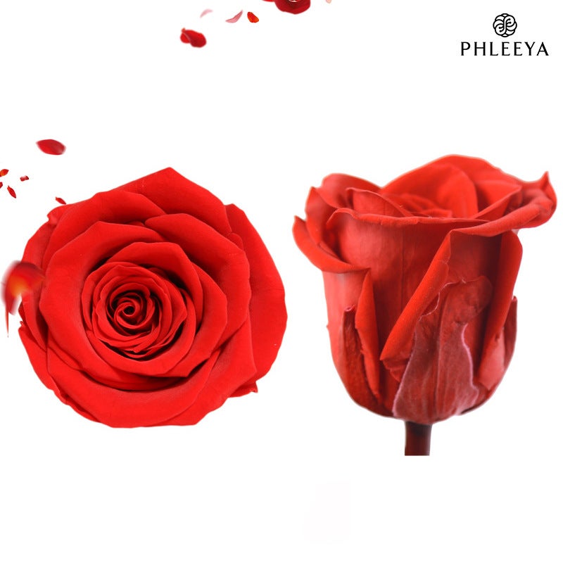 Eternal Flower Rose Flower Head Diy Material 4-5Cm8 Finished Bouquet Gift High Sense Dried Flowers Flowers - Image 4