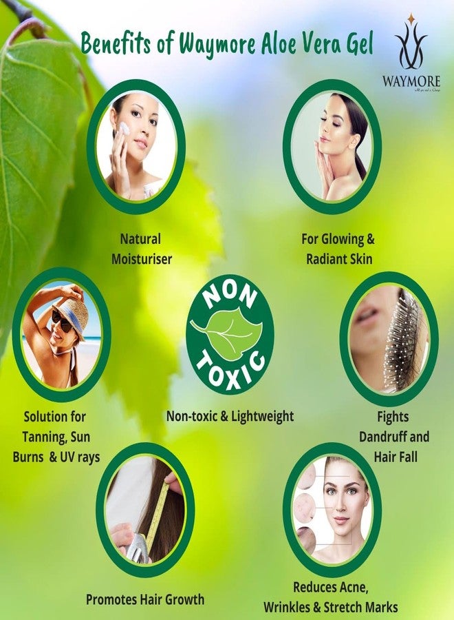 Waymore Aloe Vera Gel (Pure), 100ml, For All Skin and Hair Types, For Young and Radiant Skin - Image 3