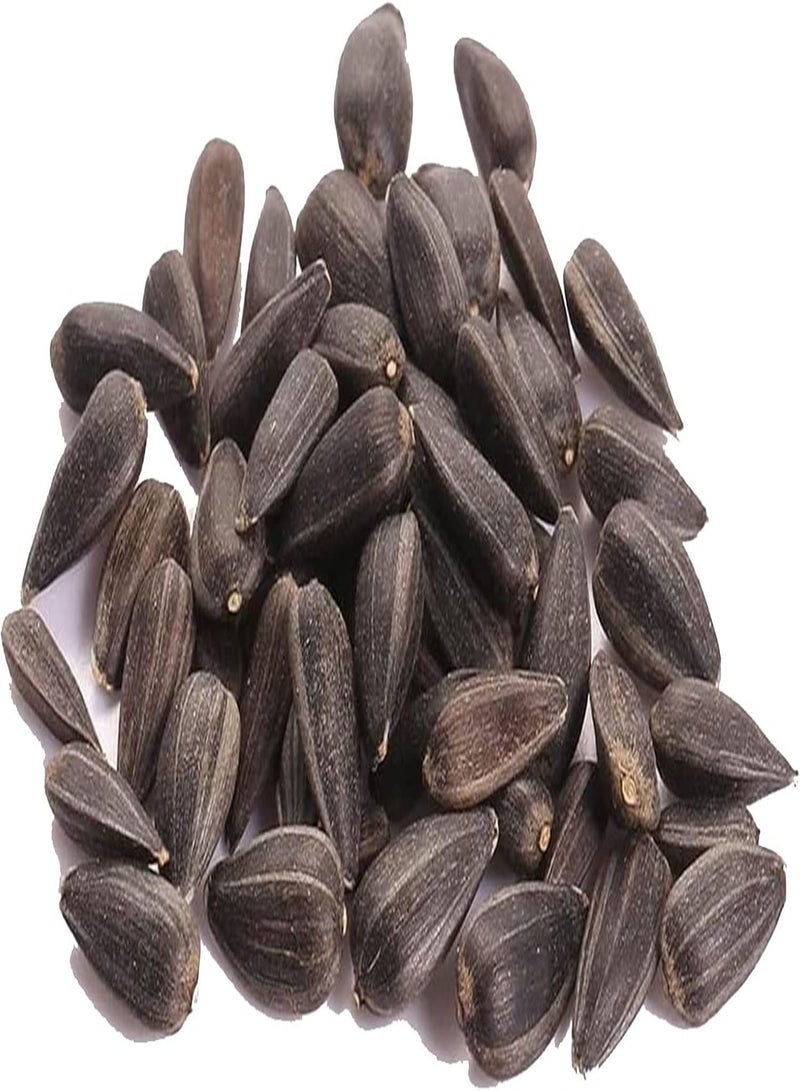 GGOOT Multi Colors Sunflower Seeds Kit Rare Home Gardening Growing Fragrant Sunflower Seeds Assorted Pack Mix Color Seeds - Image 1