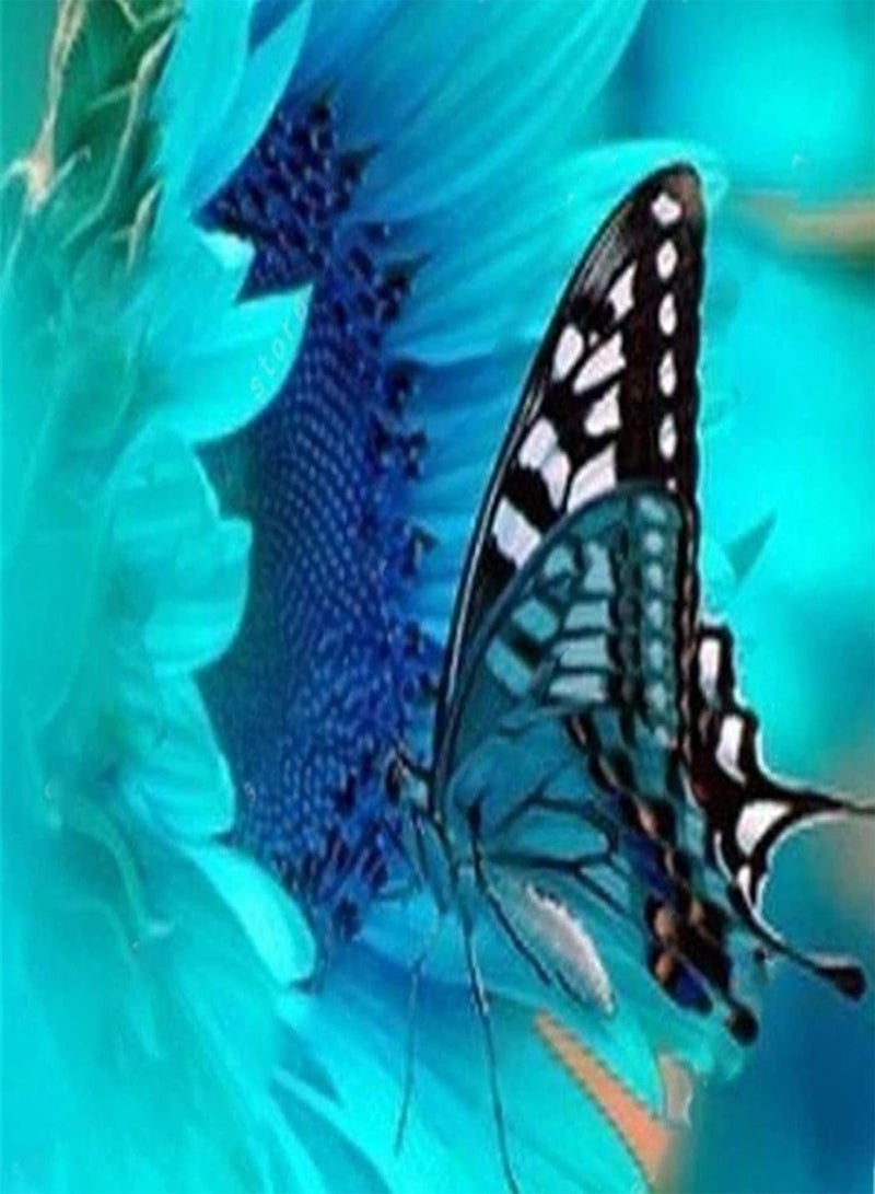 GGOOT Multi Colors Sunflower Seeds Kit Rare Home Gardening Growing Fragrant Sunflower Seeds Assorted Pack Mix Color Seeds - Image 5