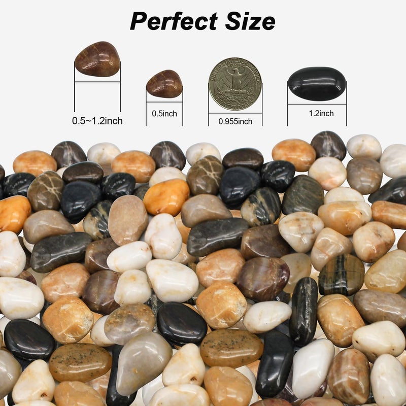 Virekm Fish Tank Rocks,Virekm River Rocks, Decorative Ornamental Pebbles Garden Landscaping Stones Gravel Filler for Home Decoration Flower Bed Fish Tank Plants Vases Succulents (10 Pounds) - Image 2