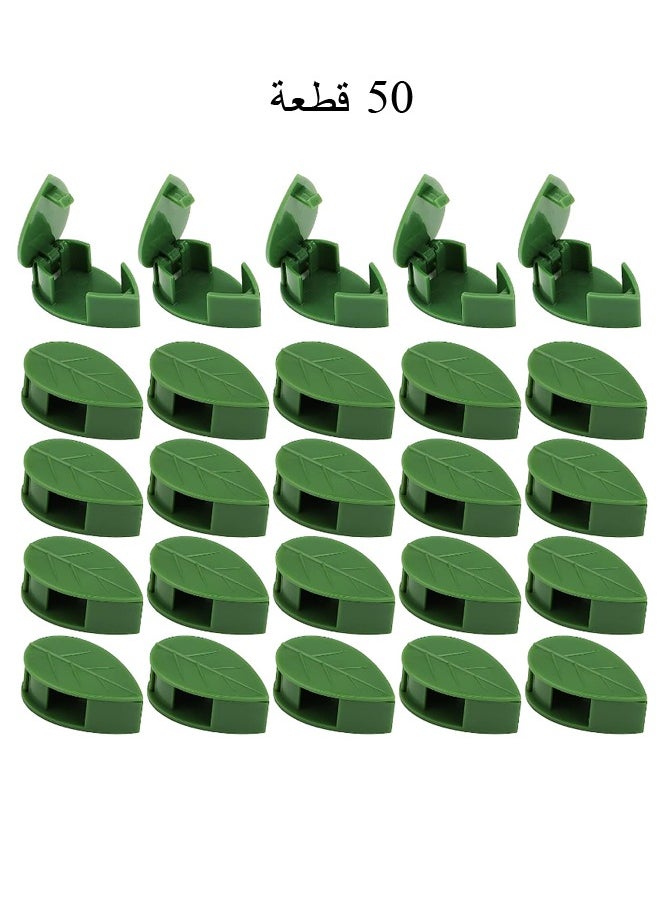 DRAMA HOME 50 Pieces Plant Climbing Wall Fixture Clips with 50 Pieces Acrylic Adhesive Sticker Plant Fixer Invisible Wall Vines Fixing Clips Self-Adhesive Hook Plant Vine Traction for Indoor Outdoor Decoration  - Image 1