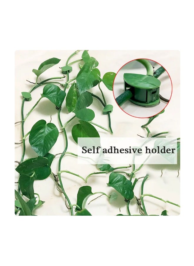 DRAMA HOME 50 Pieces Plant Climbing Wall Fixture Clips with 50 Pieces Acrylic Adhesive Sticker Plant Fixer Invisible Wall Vines Fixing Clips Self-Adhesive Hook Plant Vine Traction for Indoor Outdoor Decoration  - Image 2