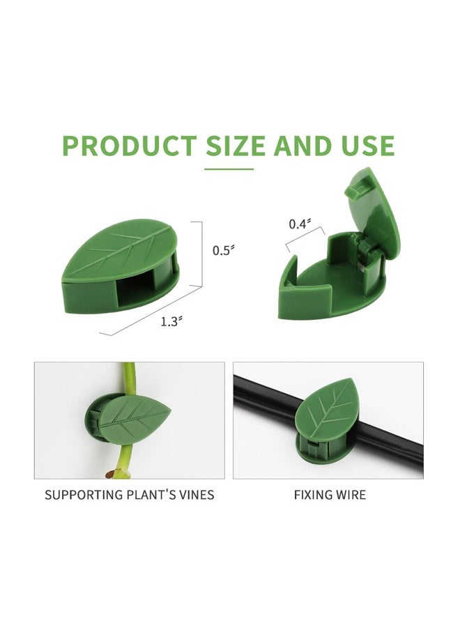 DRAMA HOME 50 Pieces Plant Climbing Wall Fixture Clips with 50 Pieces Acrylic Adhesive Sticker Plant Fixer Invisible Wall Vines Fixing Clips Self-Adhesive Hook Plant Vine Traction for Indoor Outdoor Decoration  - Image 4