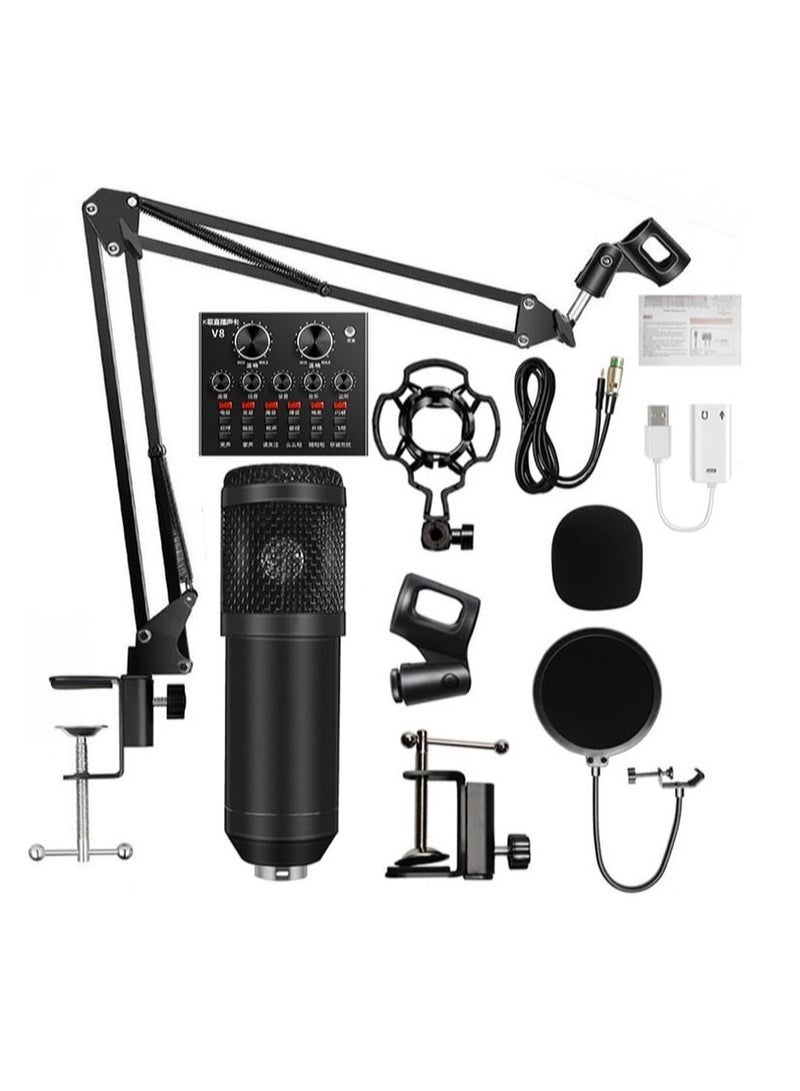 Gravity Adjustable Recording Condenser Microphone with Kit V8 - Image 3