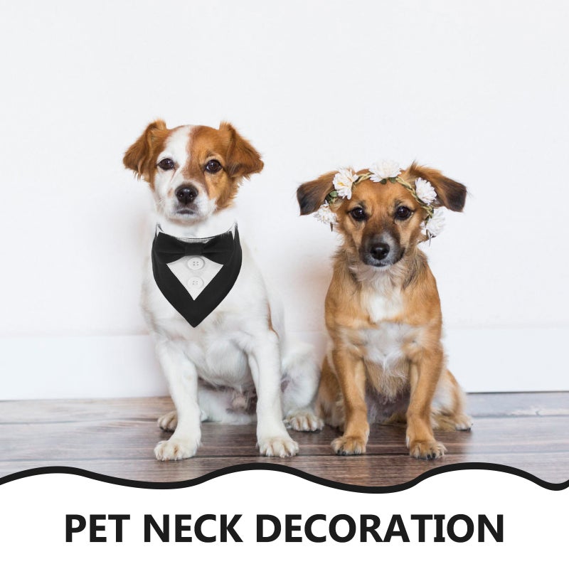 🐾 طوق لكلاب بتصميم بندانة للاستخدام اليومي وحفلات العطلات - Image 5