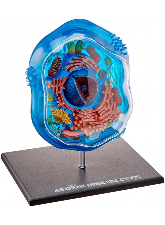 TEDCO نموذج تشريح خلية الحيوان 4D-ساينس من فامماستر - كورال، أسود، أخضر نعناعي، بيج، ذهبي، وردي ذهبي - Image 3
