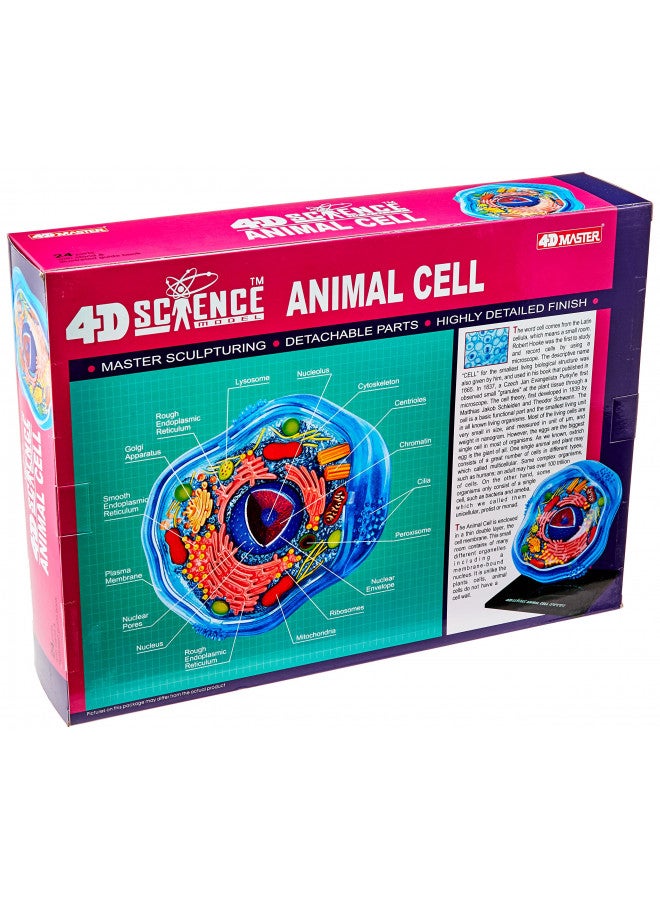 TEDCO نموذج تشريح خلية الحيوان 4D-ساينس من فامماستر - كورال، أسود، أخضر نعناعي، بيج، ذهبي، وردي ذهبي - Image 2