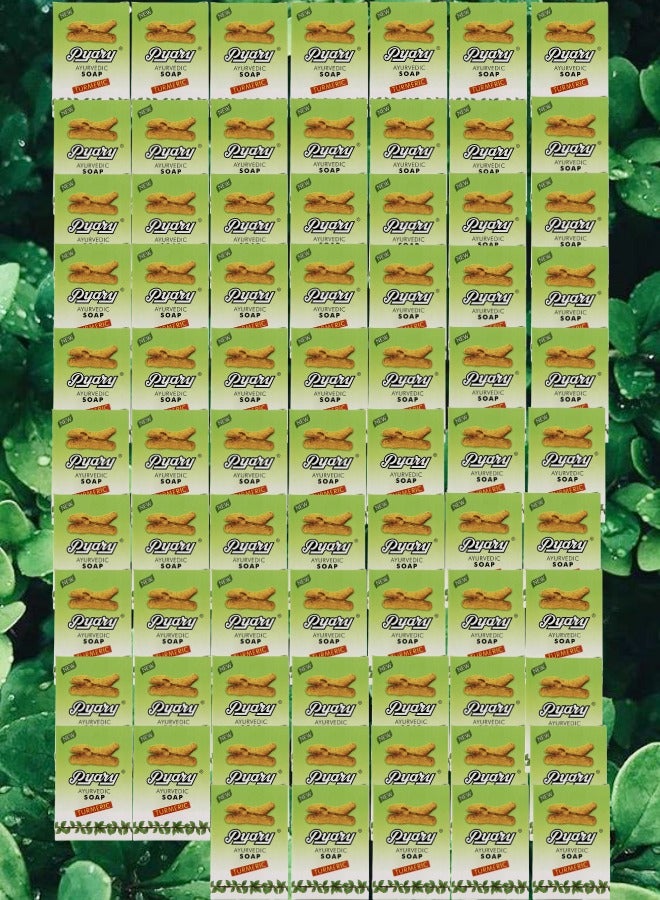 بياري 75 قطع صابون آيورفيدي كركم