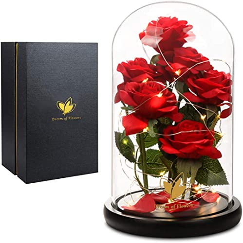 Dream of Flowers Mothers Day Flowers Rose Gifts for MomBeauty and The Beast Rose with LED LightRose in Glass Dome Birthday Gifts for Women Mom Wife Girlfriend Best Friend Red Rose Gifts for her 
