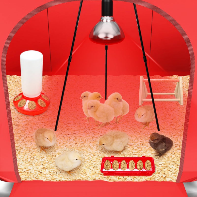 Kweetle All-in-One Chicken Brooder Box for Chicks Starter Kit with Timer Heat Lamp & Stand, Perch, Sawdust, Feeder & Waterer, Large Sturdy Poultry Brooder for Up to 30 Baby Chicks, Ducks & Quail - Image 2