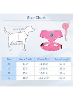 BINGPET Soft Mesh Breathable Pet Vest Harnesses, No Pull & No Choke Dog Harness, Lightweight Adjustable Vest Harness for Small and Medium Dogs  - Image 1