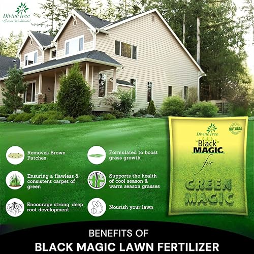 DIVINE TREE Black Magic Lawn Fertilizer for Lush Green Grass - Organic Fertilizer for Healthier, Greener Lawn Grass - Perfect Fast Acting Nutrition for Your Lawn Grass (1kg) - Image 3