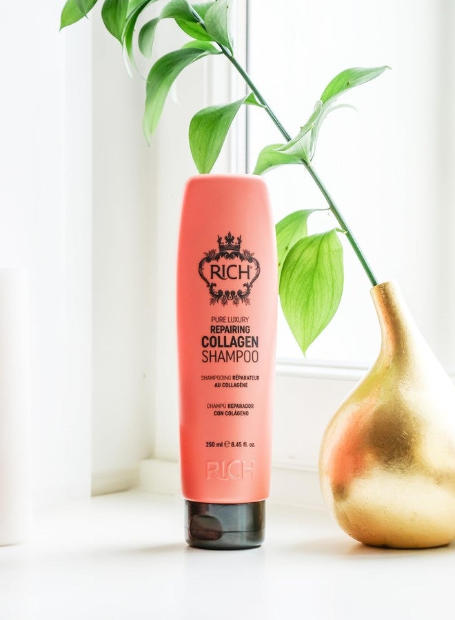 RICH Pure Luxury Repairing Collagen Shampoo for Fragile & Weak Hair - Helps to Strengthen and Moisturize Dry and Brittle - Hair Proteins, Collagen, Marula Oil & Macadamia Nut Oil - 8.45 oz - Image 3