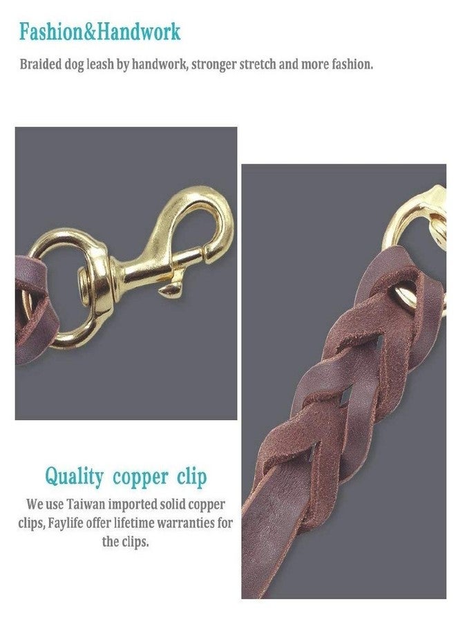 Petlicious & More® Long Leather Dog Leash (Brown, 10 ft) - Image 4