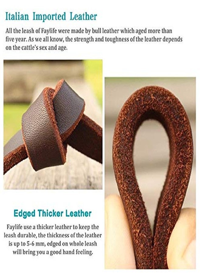 Petlicious & More® Long Leather Dog Leash (Brown, 10 ft) - Image 3