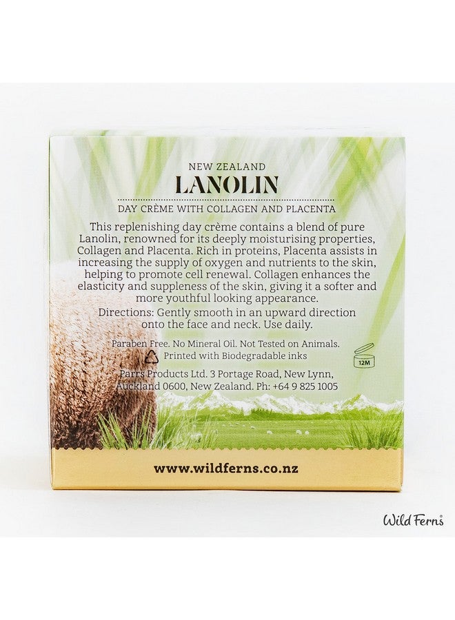 Wild Ferns Lanolin Day Crème With Collagen And Placenta 98% Natural 100 Grams - Image 3