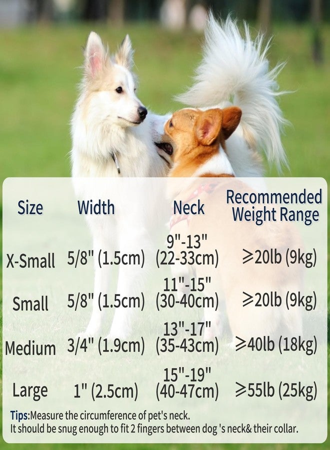 Mile High Life Dog Collars | Soft Cotton Dog Collars w Heavy Metal Buckle | Classic Puppy Collar w Premium Genuine Leather Tips | Pet Collars for Large Dogs (Khaki) - Image 3