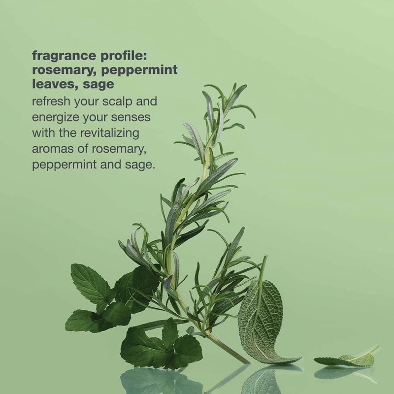 Milk Shake شامبو مزيج منشط – إكليل الجبل، المريمية والزيوت الأساسية للشعر الناعم، الرقيق والهش – منظف لطيف مع بانثينول لتحفيز فروة الرأس، الكثافة، القوة والشعور المنعش، 1 لتر - Image 4