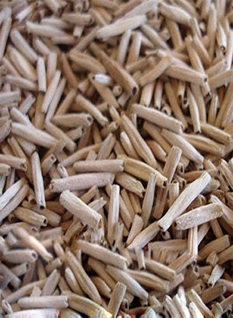 جي جوت بذور أدينيوم عملاقة من إيجرو، 10 قطع/حقيبة، لونين، وردي وأحمر، بذور زهور بونساي، وردة صحراوية مزدوجة الطبقات، مناسبة لنباتات حدائق الشرفات - Image 3