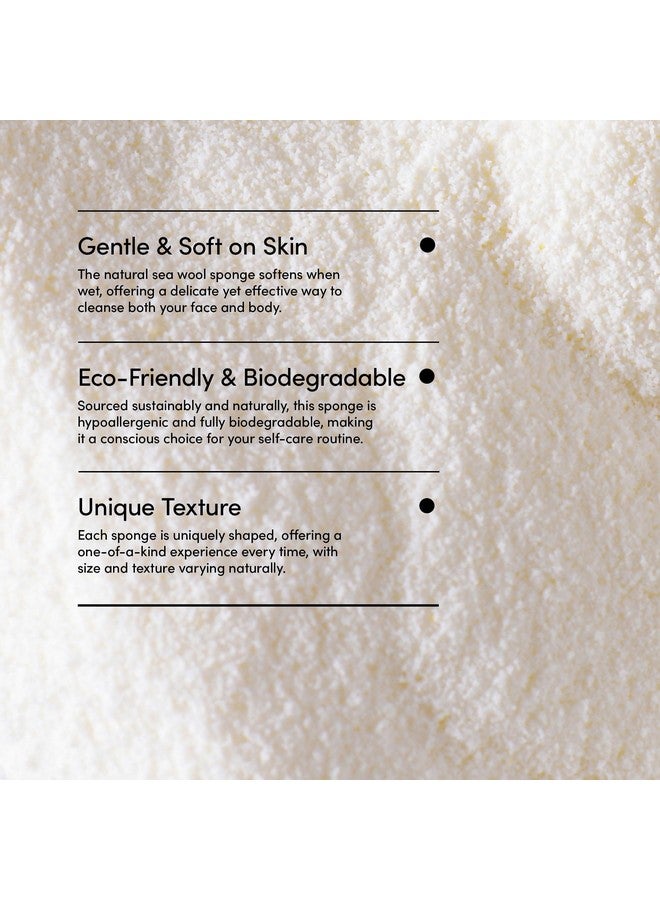 لاذر لاثر - إسفنجة صوف البحر الطبيعية، 4-5 بوصات - مقشر عضوي للجسم - تنظيف ناعم ولطيف - مضاد للحساسية - لجميع أنواع البشرة - إسفنجة ليفة فلوريدا الطبيعية - خالية من القسوة - منتجات التجميل والعناية بالبشرة - Image 5