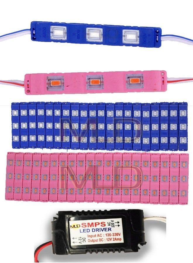 MLD 3 LED strips 12V Waterproof 5630/5730 LED SMD Injection module Blue & Pink - 40 module Combo Offer (With 12V Dc Driver Free)-(2 Amp)