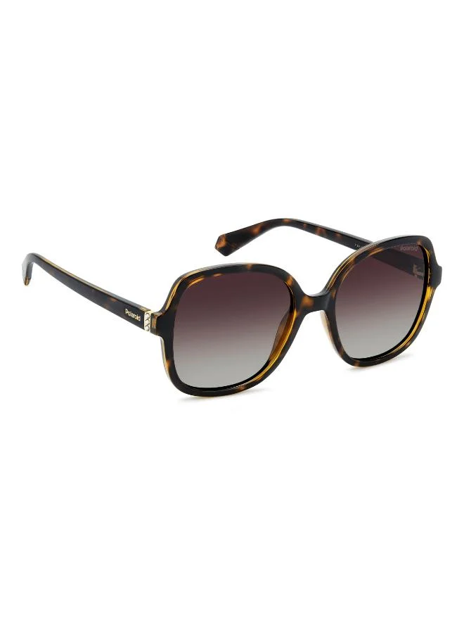 Polaroid Wayfarers Sunglasses