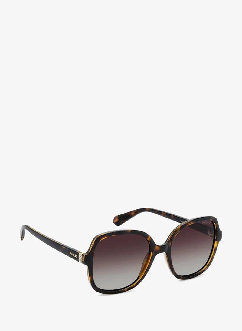 Polaroid  Wayfarers Sunglasses for Women | Best Price UAE