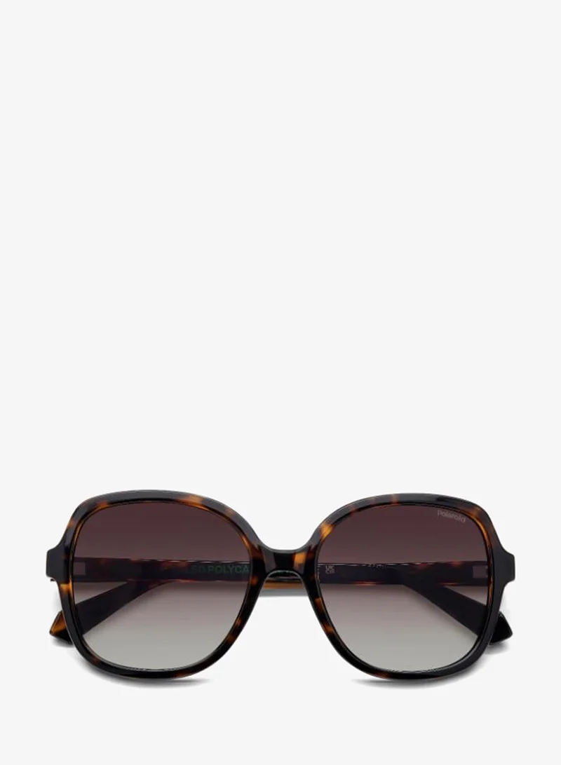Polaroid  Wayfarers Sunglasses for Women | Best Price UAE