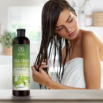 Aromatika شامبو شجرة الشاي مع مستخلصات عنب الثعلب الهندي وإكليل الجبل لتنظيف عميق مضاد للقشرة والدهون يعزز نمو الشعر وحجمه وترطيبه 480 مل - Image 5