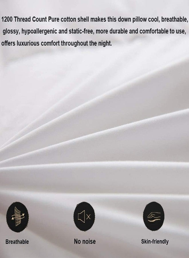 achard Set of 2 White Goose Feather Bed Pillows Queen Size- Soft 100% Cotton, Medium Soft Support Surround Fill Polyester,White Solid - Image 2