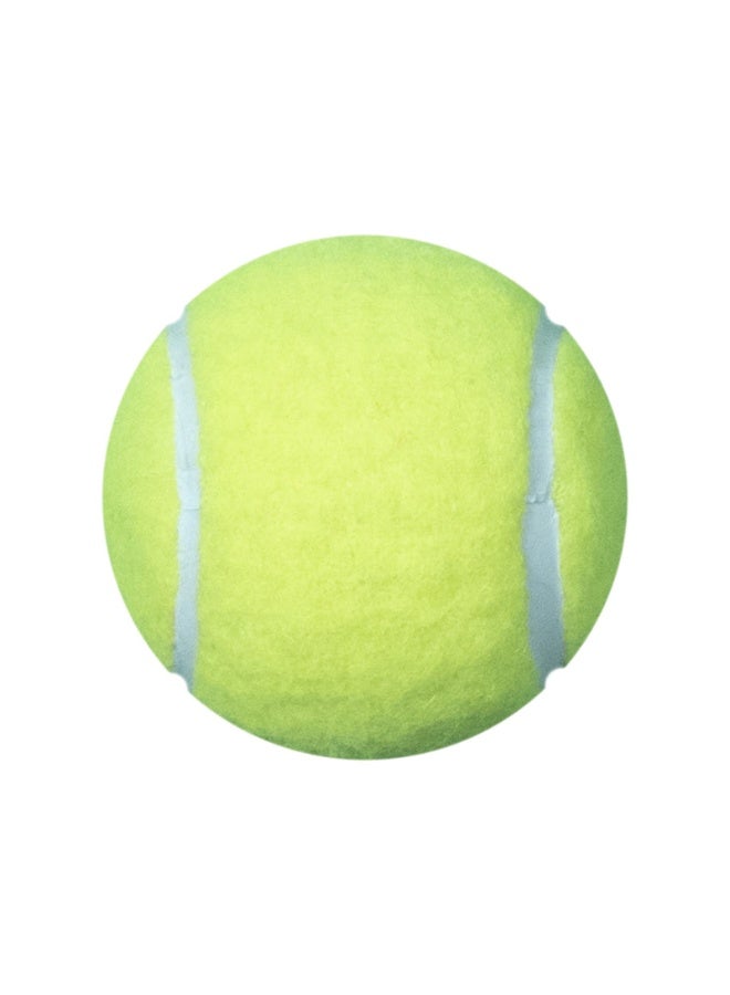 DAWSON SPORTS Hard Tennis Cricket Ball - Image 2