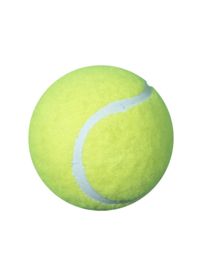 DAWSON SPORTS Hard Tennis Cricket Ball - Image 3