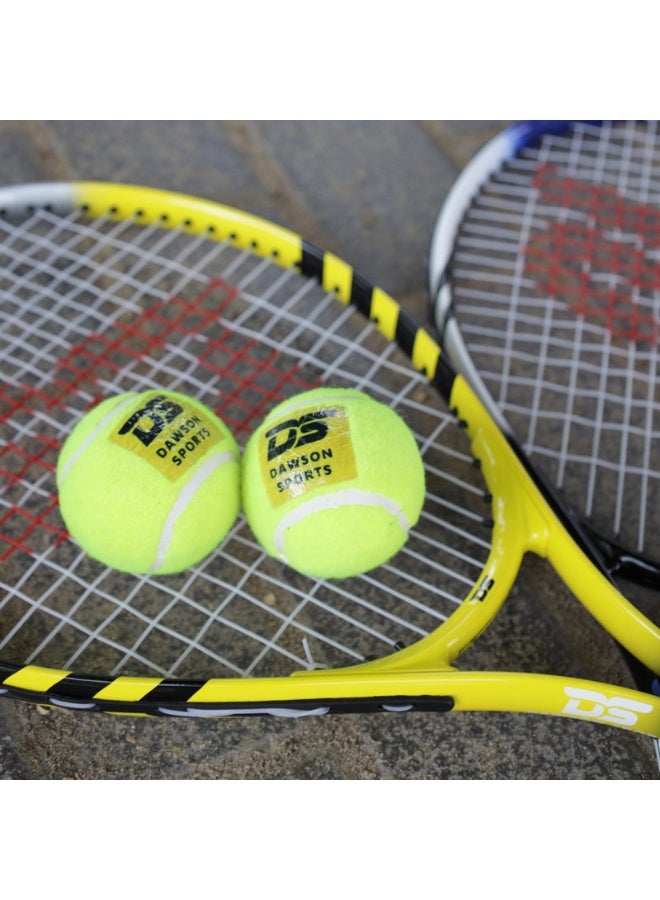 DAWSON SPORTS Hard Tennis Cricket Ball - Image 4