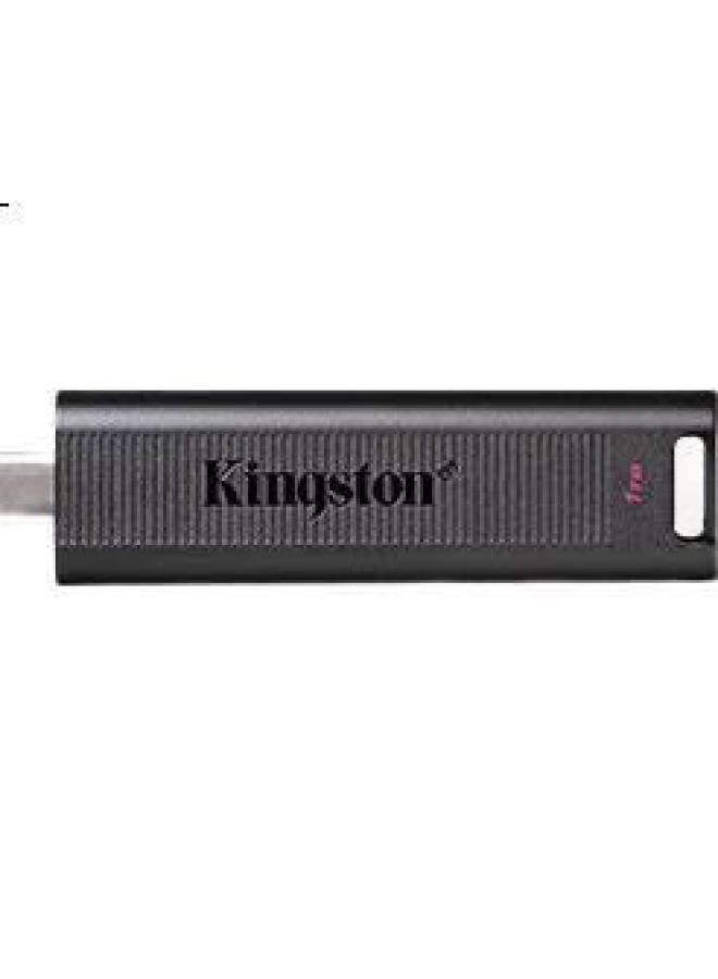 Kingston Kingston 1Tb Usb3.2 Solid State Flash Drive, Dtmax Type-C, High Capacity Car And Phone Usb Drive, Read Speed 1000Mb/S, Write Speed 900Mb/S, Compatible With Android And Apple - Image 1