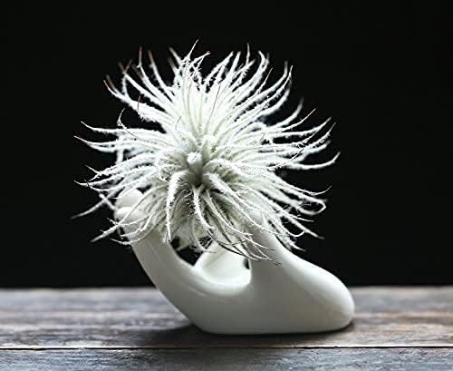 Dahey Air Plant Holder Cute Ceramic Mini Hand Shape Stand Airplants Tillandsia Small Container Pot Plant Decorative Home Decor for Desk Table Shelf,White,1 Pack - Image 2