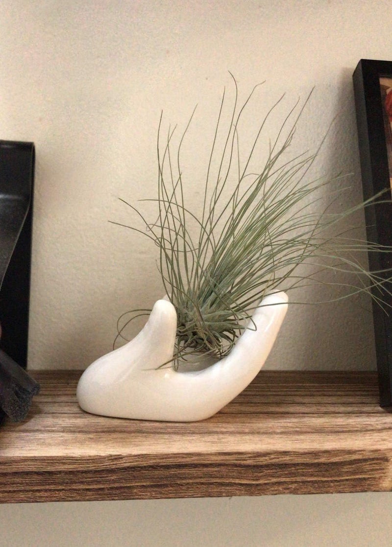 Dahey Air Plant Holder Cute Ceramic Mini Hand Shape Stand Airplants Tillandsia Small Container Pot Plant Decorative Home Decor for Desk Table Shelf,White,1 Pack - Image 5