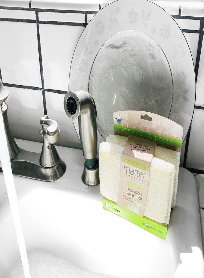 cleanlogic Practical Matter Kitchen Sponge, Organic Cotton Fiber All-Purpose Dish Sponges for Washing Dishes and Cleaning All Surfaces, Durable Non Scratch Scrub, 6 Count Value Pack - Image 2