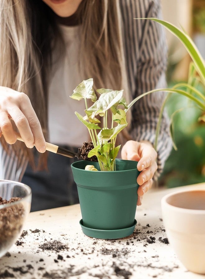 homenote أواني زراعة هومنوت، عبوة من 15 وعاء زهور مقاس 6 بوصات مع فتحات تصريف متعددة وأطباق، أواني زراعة بلاستيكية لجميع أنواع زهور الحدائق المنزلية والنباتات العصارية (أخضر) - Image 2