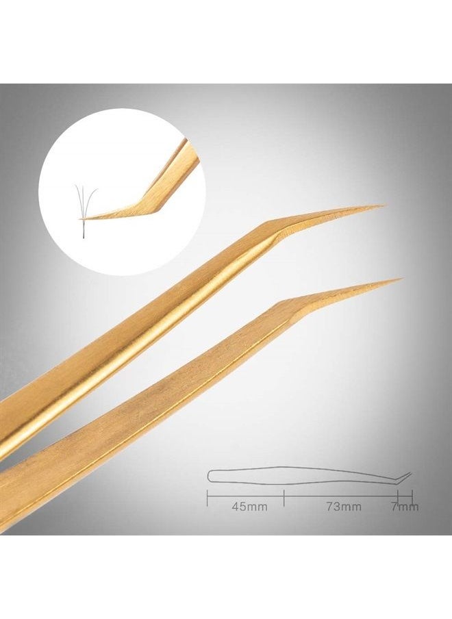 Lash Tweezers for Eyelash Extensions, Hand Calibrated Dolphin-shaped & Curved Tip, False Lash Application Tools, Pack of 2, Gold