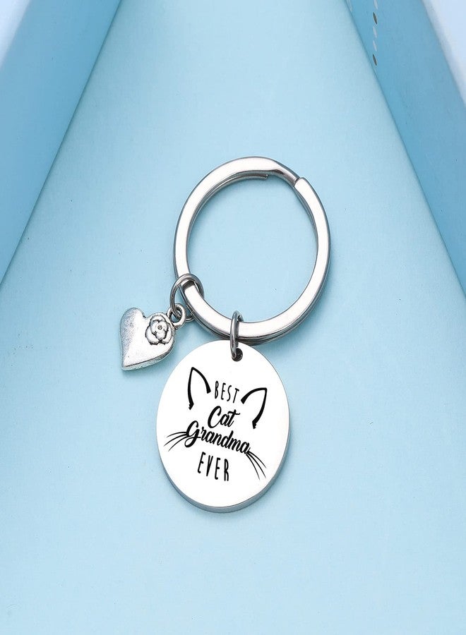 NOTHERS RSZOTW Cat Keychain for Cat Grandma, Meme, Mom, Owner, Lady Gifts - Veterinarian Gifts Pet Keychain - Image 3