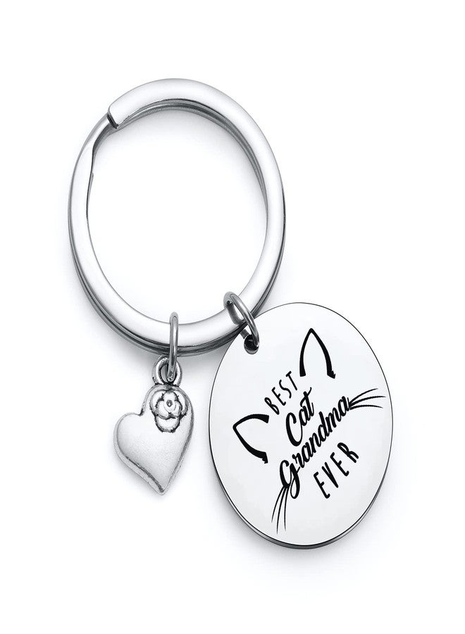 NOTHERS RSZOTW Cat Keychain for Cat Grandma, Meme, Mom, Owner, Lady Gifts - Veterinarian Gifts Pet Keychain - Image 1