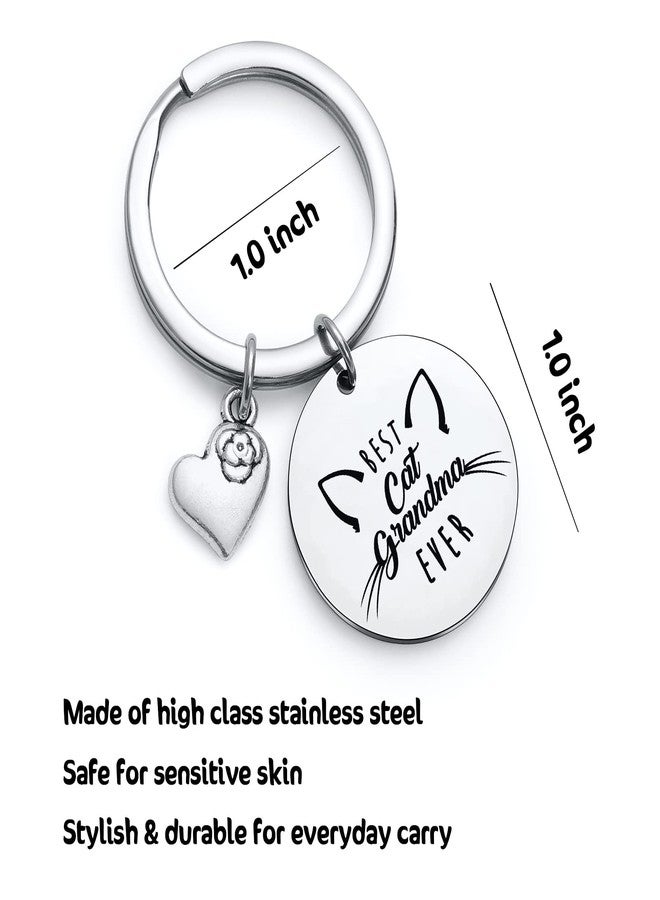 NOTHERS RSZOTW Cat Keychain for Cat Grandma, Meme, Mom, Owner, Lady Gifts - Veterinarian Gifts Pet Keychain - Image 2