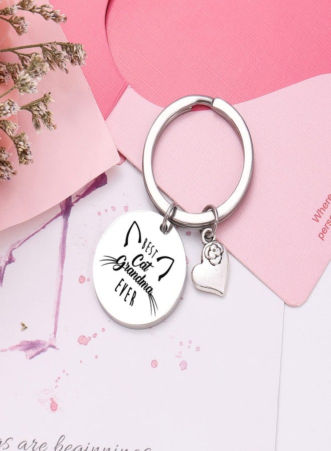 NOTHERS RSZOTW Cat Keychain for Cat Grandma, Meme, Mom, Owner, Lady Gifts - Veterinarian Gifts Pet Keychain - Image 4