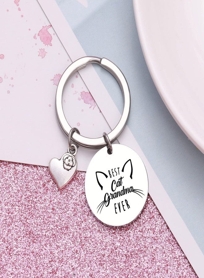 NOTHERS RSZOTW Cat Keychain for Cat Grandma, Meme, Mom, Owner, Lady Gifts - Veterinarian Gifts Pet Keychain - Image 5